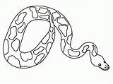 Library Anaconda sketch template