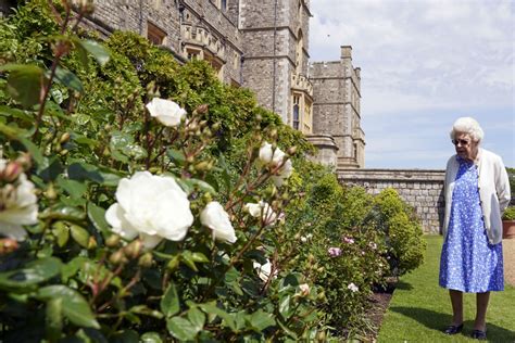 queen marks philip s 100th birthday by planting rose named after him