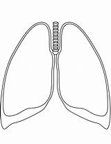 Lungs Coloring Human Pages Lung Printable Template Drawing Getdrawings sketch template