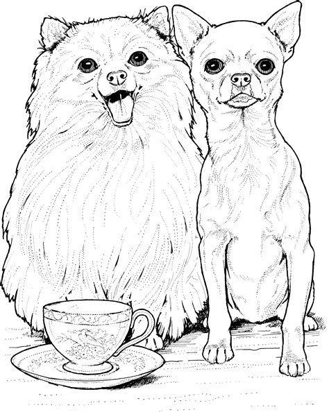 dog breed coloring pages  getdrawings