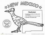 Mexico State Bird Coloring Worksheets Territory Grade Science Roadrunner Gif Pages Education Animals Life First sketch template