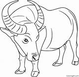 Coloringpages101 Coloringall Bison Buffalos sketch template