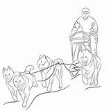 Sled Drawn Slitta Pulling Cani Illustratie Slee Getrokken Honden Trekken Tirano Disegnata Sleigh sketch template
