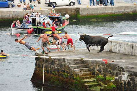 pin  miguel carvalho  portugal azores terceira azores portugal travel