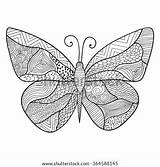 Butterfly Coloring Zentangle Sketch Adult Detailed Drawn Hand Vector Ornamental Stress Anti High Pattern Search Shutterstock Stock sketch template