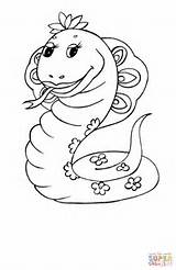 Serpente Boa Stampare Serpent sketch template