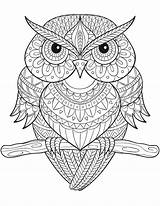 Coloriage Complexe Imprimer Hiboux Adulte Pour Coloring Pages Colouring Adult Books Owl Super sketch template