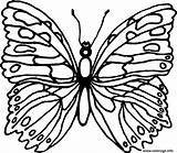 Papillon Coloriage Imprimer Greatestcoloringbook sketch template
