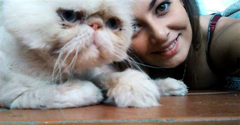 Sour Faced Hairless Persian Cat Has Finally Found A New Home Metro News