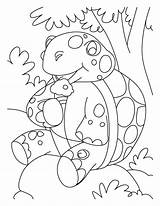 Coloring Tortoise Pages Resting sketch template