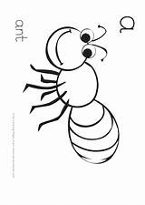 Ant Coloring Pdf Sheet sketch template