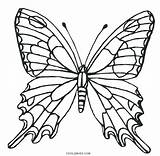 Butterfly Coloring Pages Wings Printable Kids Drawing Template Color Cool2bkids Print Getcolorings Fancy Flower sketch template