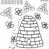 Bee Coloring Pages Beehive Colorings Print Coloringway sketch template