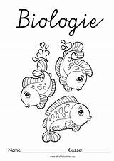 Biologie Deckblatt Schule Sencillos Ausmalen Deckblätter Fische Deckblaetter Erdkunde sketch template