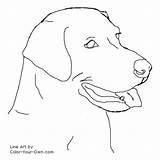 Labrador Coloring Retriever Pages Lab Dog Drawing Drawings Line Color Headstudy Easy Draw Labs Puppies Dogs Golden Face Puppy Retrievers sketch template
