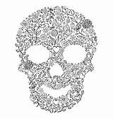 Skull Vector Antistress Evil Coloring Halloween Similar sketch template