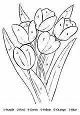 Tulip Tulips Fiori Adults Allkidsnetwork Coloriage Coloringhome Numere Planse Colorat Dupa Natur Natura Malvorlage Stained Coloriages Imprimer Actividades Mancare Trafic sketch template