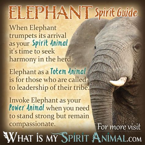 elephant symbolism meaning spirit totem power animal