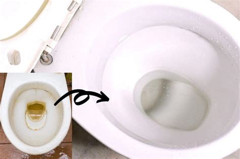 rid  brown limescale  toilet apr