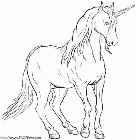 realistic unicorn coloring page  older kids letscoloritcom
