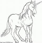 Licorne Unicorno Feu Unicorns Unicorni Einhorn Bellissimi Bellissimo Schones Magnifique Creatures Ausmalbild sketch template