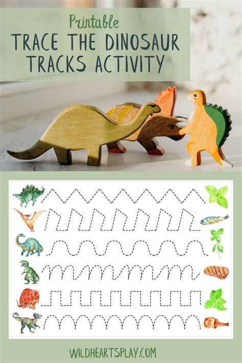 printable trace  dinosaur tracks worksheet digital