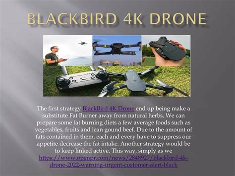 blackbird  drone powerpoint    id