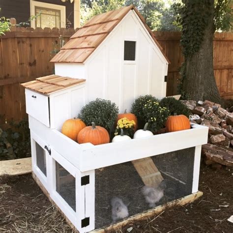 small chicken coop plans customize  hen house
