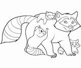 Raccoon Coloring Pages Kids Printable Raccoons Family Bestcoloringpagesforkids sketch template