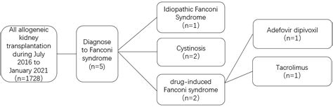 frontiers drug induced fanconi syndrome  patients  kidney