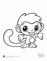 Coloring Pages Organ Pipe Getcolorings Monkey sketch template
