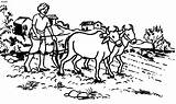 Indian Farming Clipart Farmer Farmers Subsistence Drawing Coloring India Ploughing Painting Drawings Agriculture Village Clip People Pages Rural Illustration Man sketch template