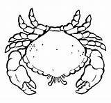 Crab Large Coloring Colorear Coloringcrew Book sketch template
