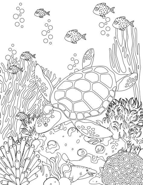 sea life  printable coloring pages digital  fun etsy