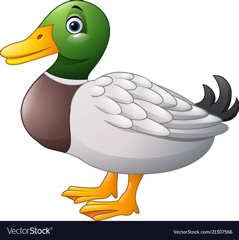 cute cartoon duck royalty  vector image vectorstock