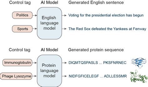 learning  evolution  ai language models  design proteins