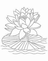 Lotus Ausdrucken sketch template