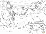 Manna Coloring Quail Moses Bible Kids Search Google sketch template