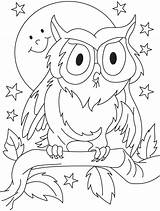 Coloring Owl Pages Kids Preschool Outline Summer Drawing Sheets Colouring Color Cute Frozen Kid Clipart Printable Preschoolers Owls Opossum Bird sketch template