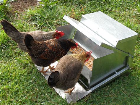 grandpas feeders automatic chicken feeder long lasting galvanized steel poultry feeders rat