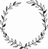 Wreath Drawing Clipart Circle Drawn Hand Oval Frame Transparent Garland Background Leaf Laurel Getdrawings Frames Google Dandelion Search Wreaths Clip sketch template