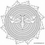Mandala Dandelion Bee Color Coloring Donteatthepaste Transparent Pages Book sketch template