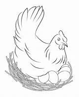 Chicken Coloring Pages Kids Print Adults Printable Flapping sketch template