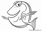 Mewarnai Ikan Nemo Belajar sketch template
