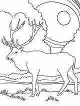 Elk Rocky K5worksheets Colouring sketch template
