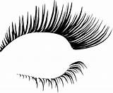 Eyelash Clipart Extension Extensions Transparent Clip Eyelashes Webstockreview Cosmetics sketch template
