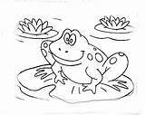Frog Coloring Pages Tadpole Kids Cycle Life Frogs Leap Printable Drawing Toad Colouring Print Color Poison Dart Getcolorings Theme Getdrawings sketch template