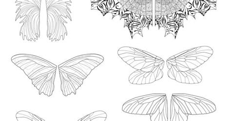 printable fairy wings template   click   picture