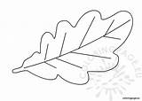 Leaf Oak Template Drawing Coloring Paintingvalley Autumn Reddit Email Twitter Coloringpage Eu sketch template