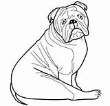 Dog Template Bulldog Coloring Pages English Mastiff Templates Printable Color Shape Animal Print Getdrawings Colouring American Getcolorings Printables sketch template